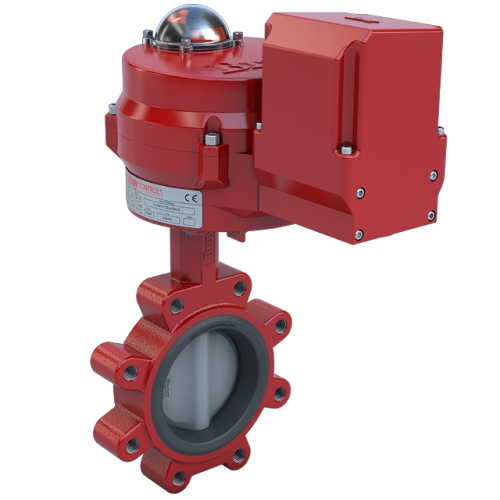 Bray 3LNE-02S2N/70-24-0081SVH-BBU 2" Butterfly Valve Open